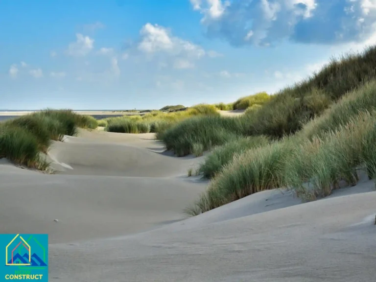 Beach Grass Landscaping